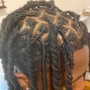 Tree Braids