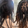 Loc Extensions (0 to 50 dreads)