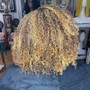 Single process color (root touch up)