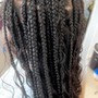 Tribal  Braids