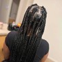 Individual Braids