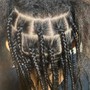 feed in braids w/Partial Sew In