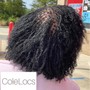 Starter Locs 1/3 inches