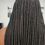 Regular braids. (Straight backs)