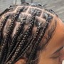 Regular braids. (Straight backs)