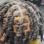 Wash Retwist and Style