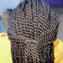 Medium Senegalese Twists(Mid-back)