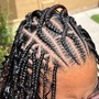 Ponytail Medium Braids