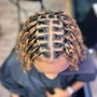 Kid's Two Strand Twists