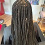 Havana Twists