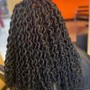 Crochet Braids