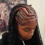 Fulani/tribal braids