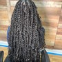 Island Twists