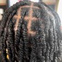 Natural Hair Mini Twists