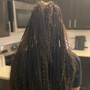 Full Head Braids (Natural Hair)