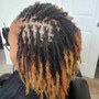 Starter Coils or twists MEDIUM