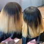 Root Touch Up