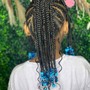 Butterfly Locs