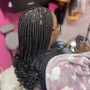 Box Braids midback