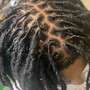 Loc Retwist