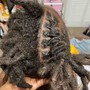 Comb  coils [not starter locs]