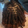 Butterfly Locs (Mid Back)