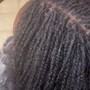 Two Strand Twists on Natural Hair