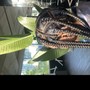 Kinky twist