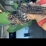 Senegalese Twist