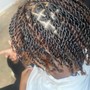 Comb Twist