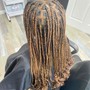 Root Touch Up