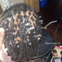 Starter locs