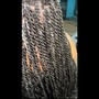 Senegalese/Island Twist