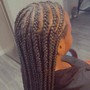 Tribal Braids / Fulani braids