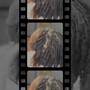 Men Braids/ Locs