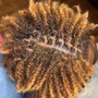 Loc Extensions/Reattachments