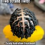 2 strand twist