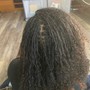 Sisterloc/micro locs Establishment (Trainee special)