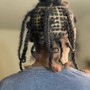 Sisterloc/micro locs Establishment (Trainee special)