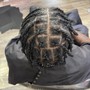 Sisterloc/micro locs Establishment (Trainee special)