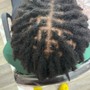 Starter Dreadlocks (4 inch and longer)