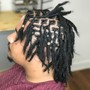 Starter locs small