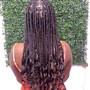 Kinky Braids With Curl at the ends