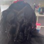 Braid Down for sew in / wig or crochet