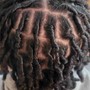 Starter Locs