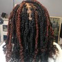 Small- Medium Locs