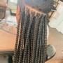 Poetic Justice Braids