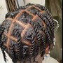 Feed-In braids