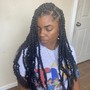 Small Box Braids or Twists