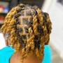 Short Butterfly Locs